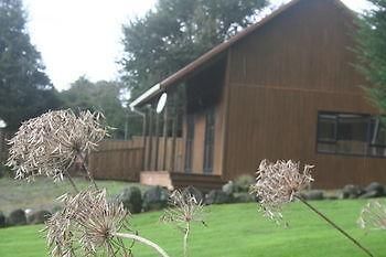 Ariari Lodge, Lake Rotorangi 斯特拉特福 外观 照片