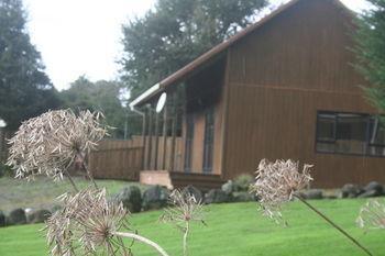 Ariari Lodge, Lake Rotorangi 斯特拉特福 外观 照片